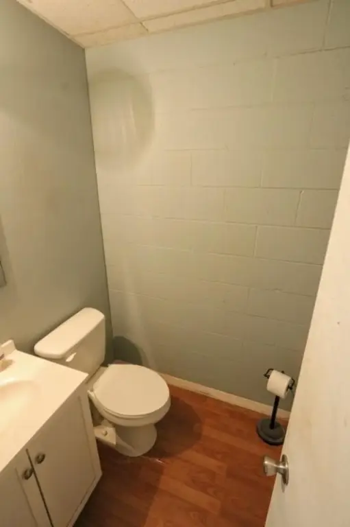 Picture 11