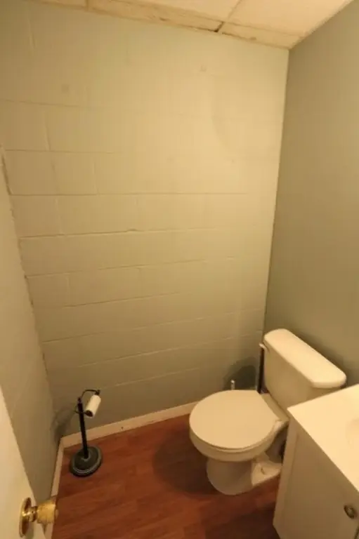 Picture 12