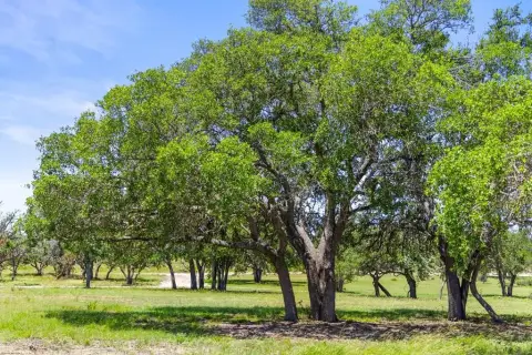 Hill Country Land Near Blanco
