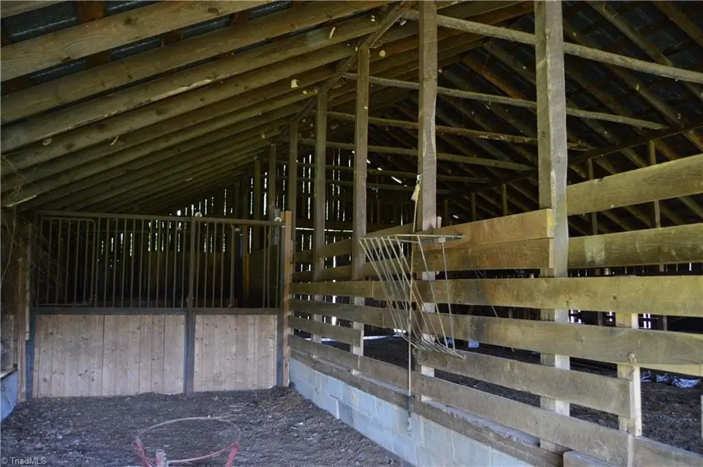 Picture 15