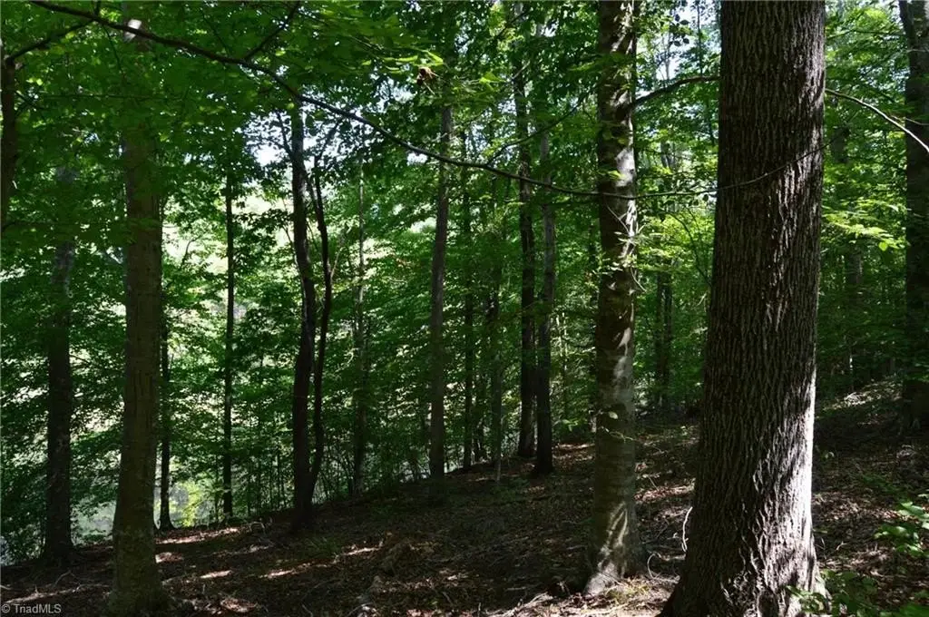 Picture 25