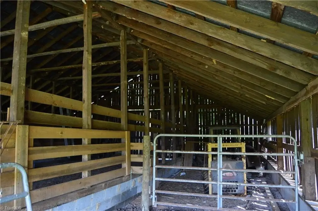 Picture 16