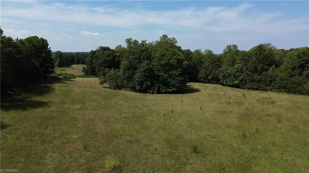 Picture 45