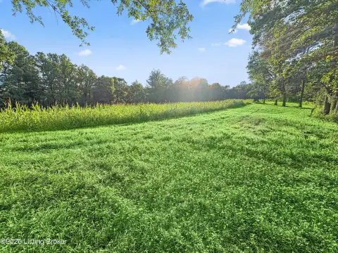 Wooded Hunting Land