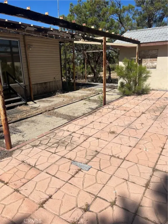 Picture 11