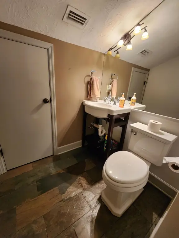 Picture 39