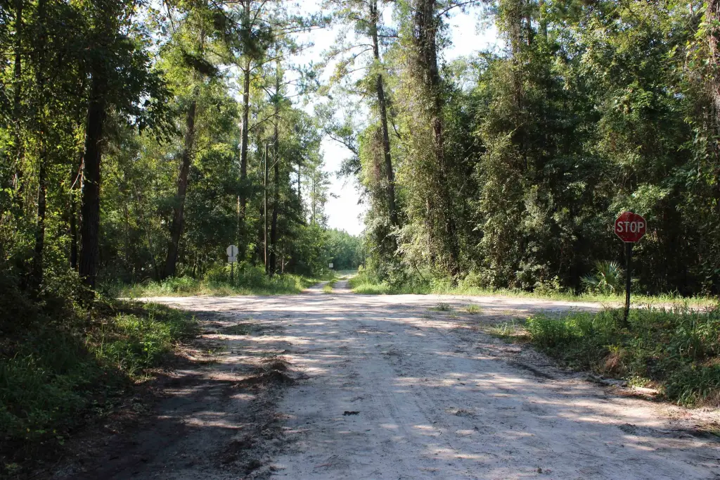 Picture 34