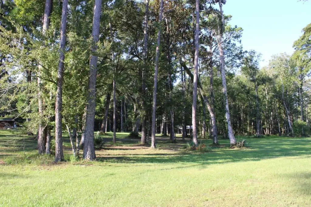 Picture 24
