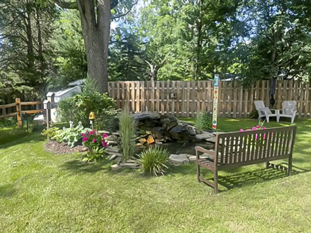 Picture 7