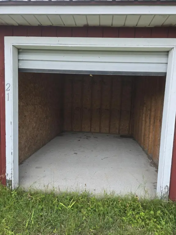 Picture 5