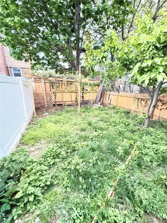 Picture 24