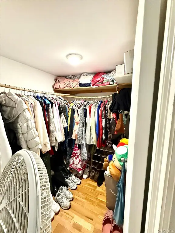 Picture 12