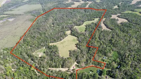 Recreation & Hunting Farm Tract