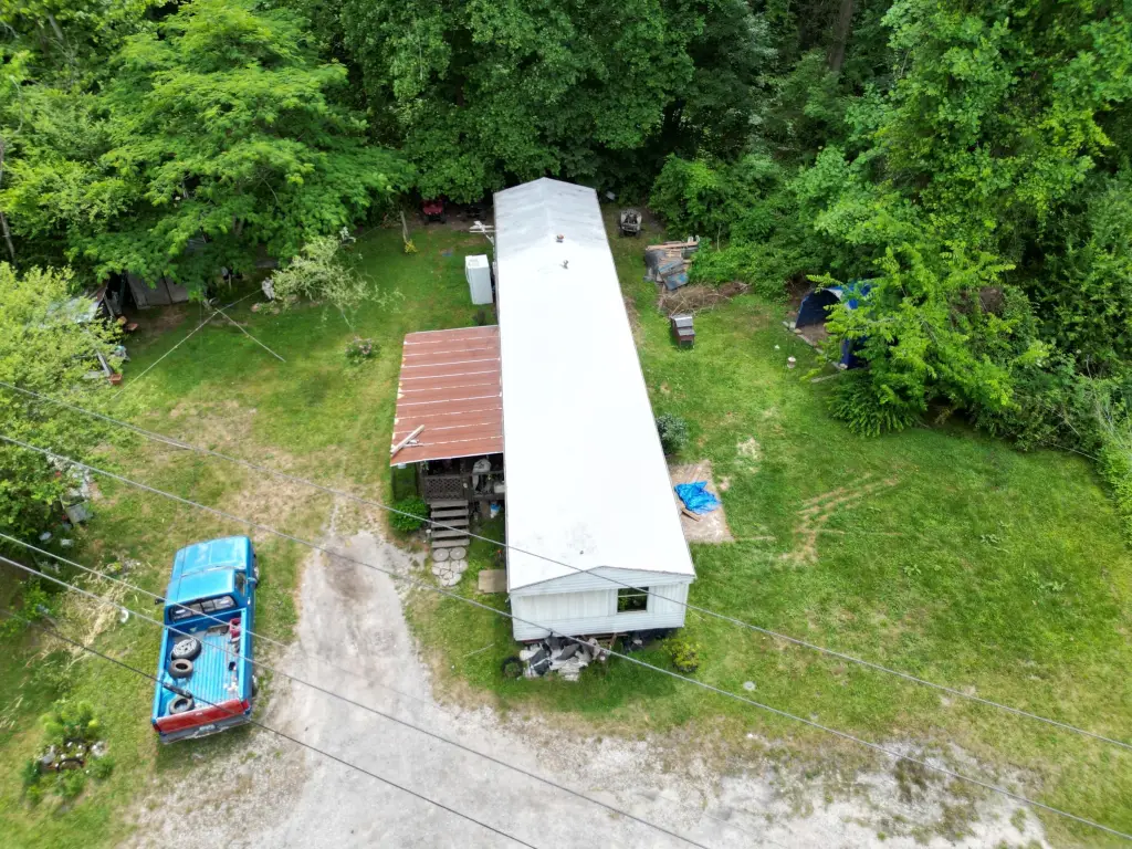 Picture 5