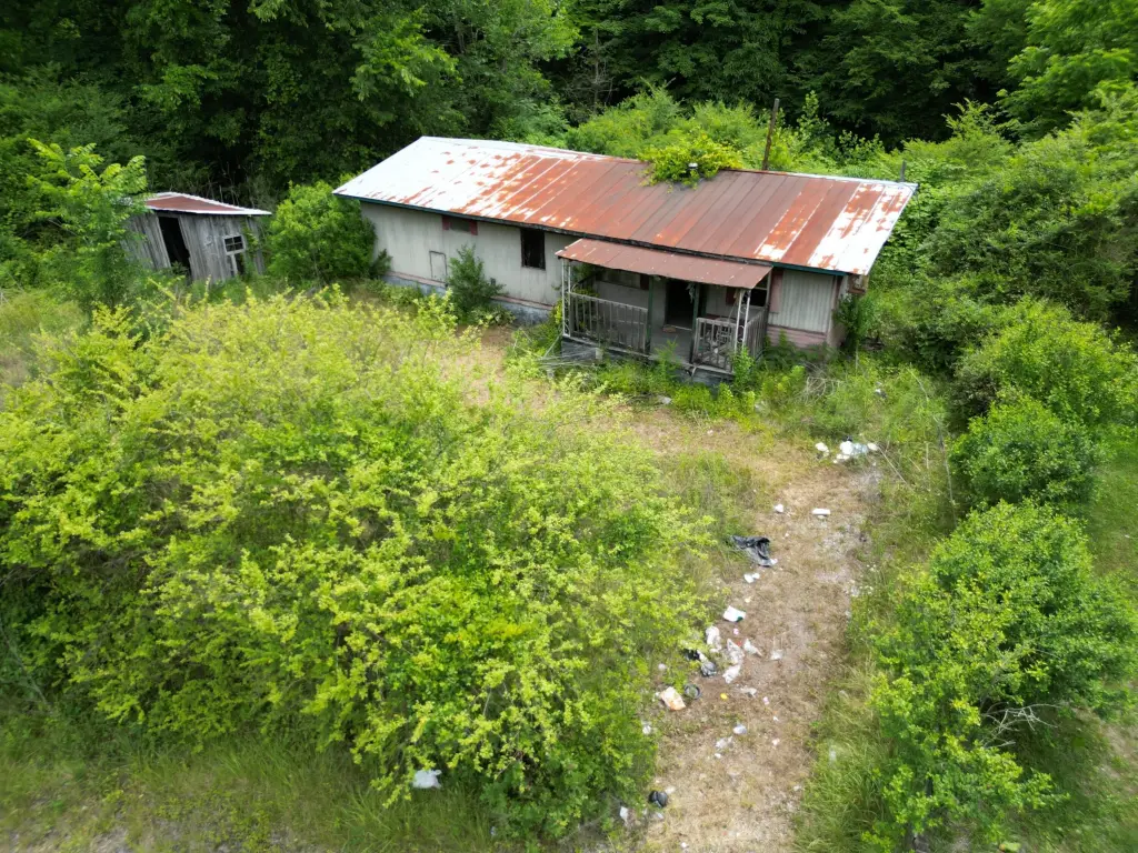 Picture 3