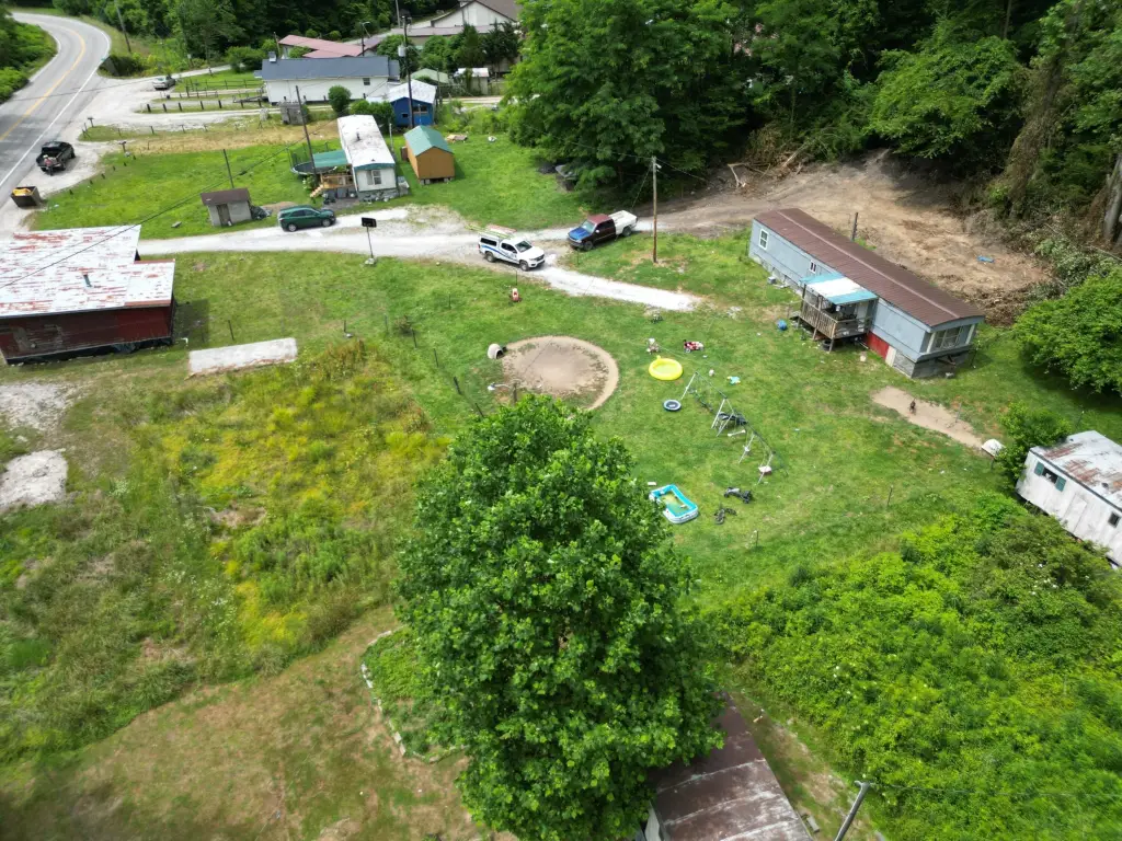 Picture 6