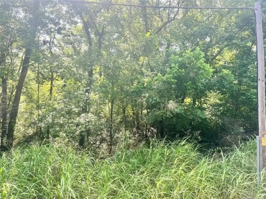 Picture 3
