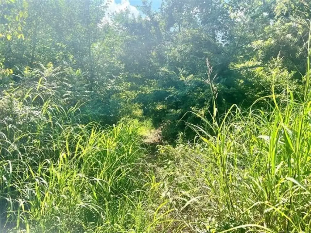 Picture 5