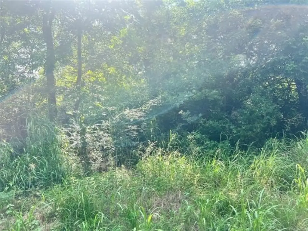 Picture 4
