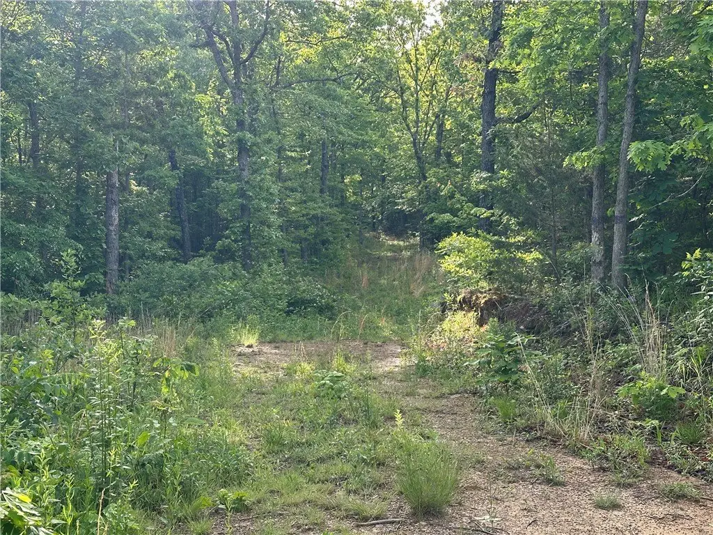 Picture 21