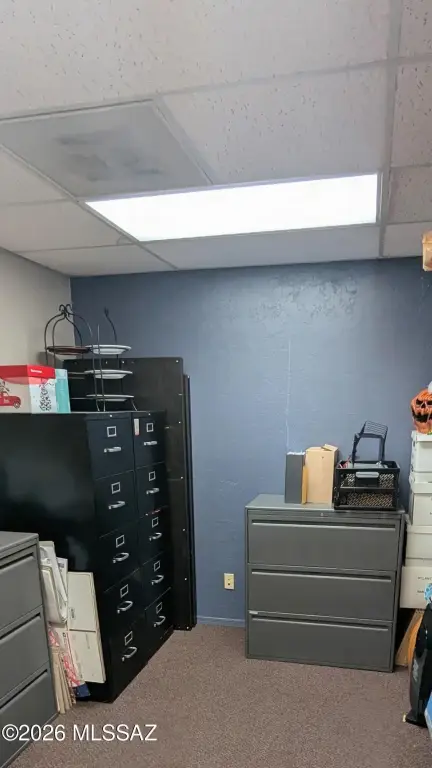 Picture 29