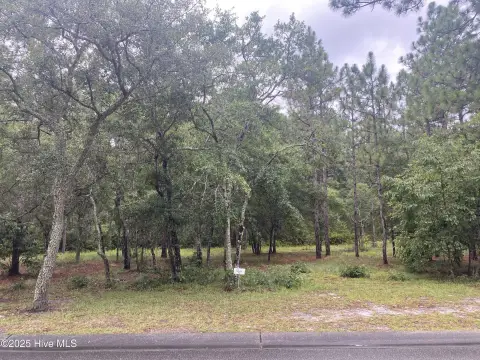 Picture of Land at Concordia Ave SW 3603, Supply, NC