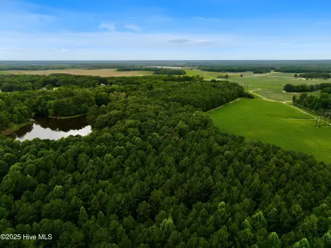 Secluded Wooded Acres Near Tarboro