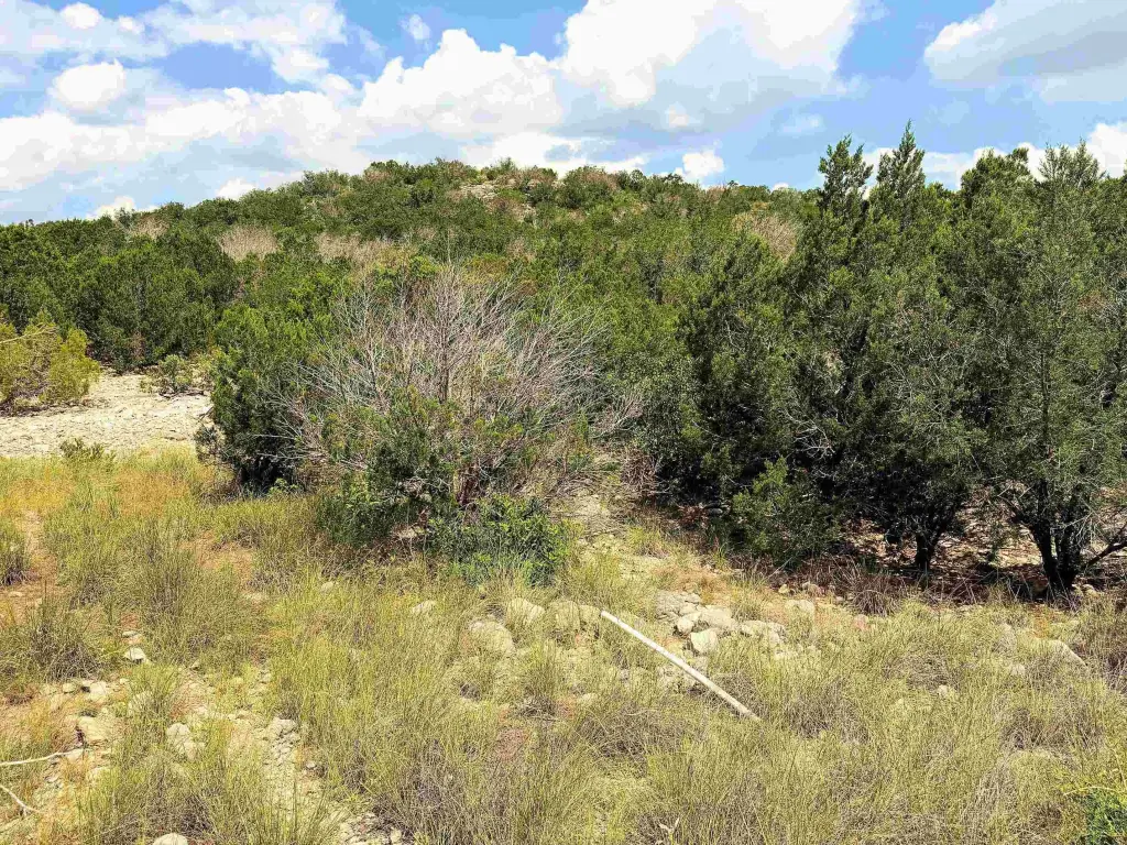 Picture 30