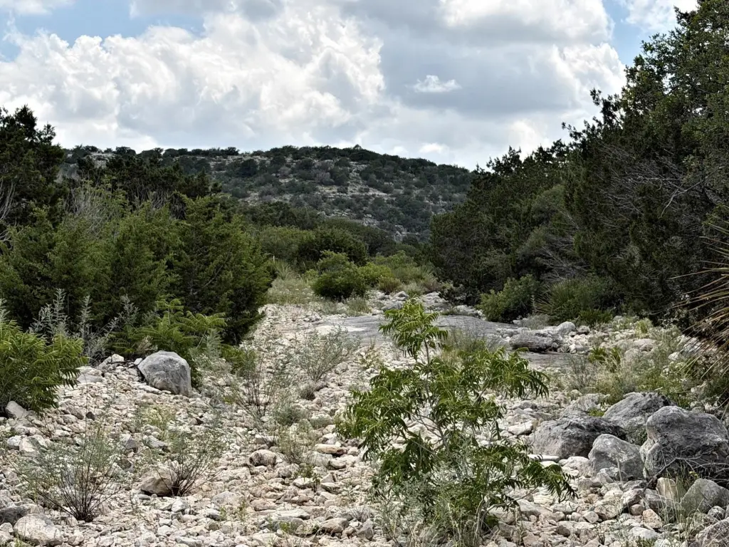 Picture 26
