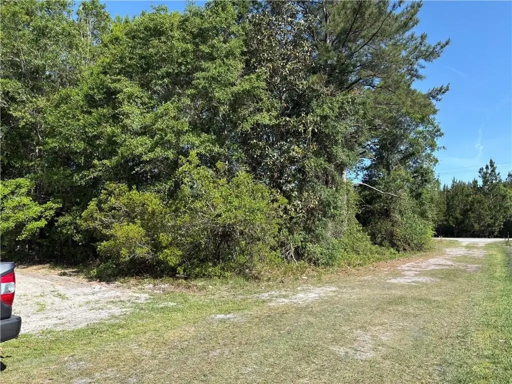 Picture 6