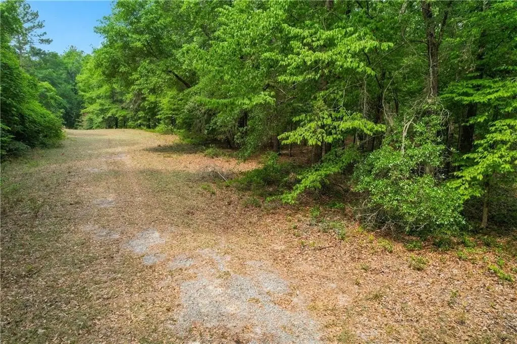 Picture 21