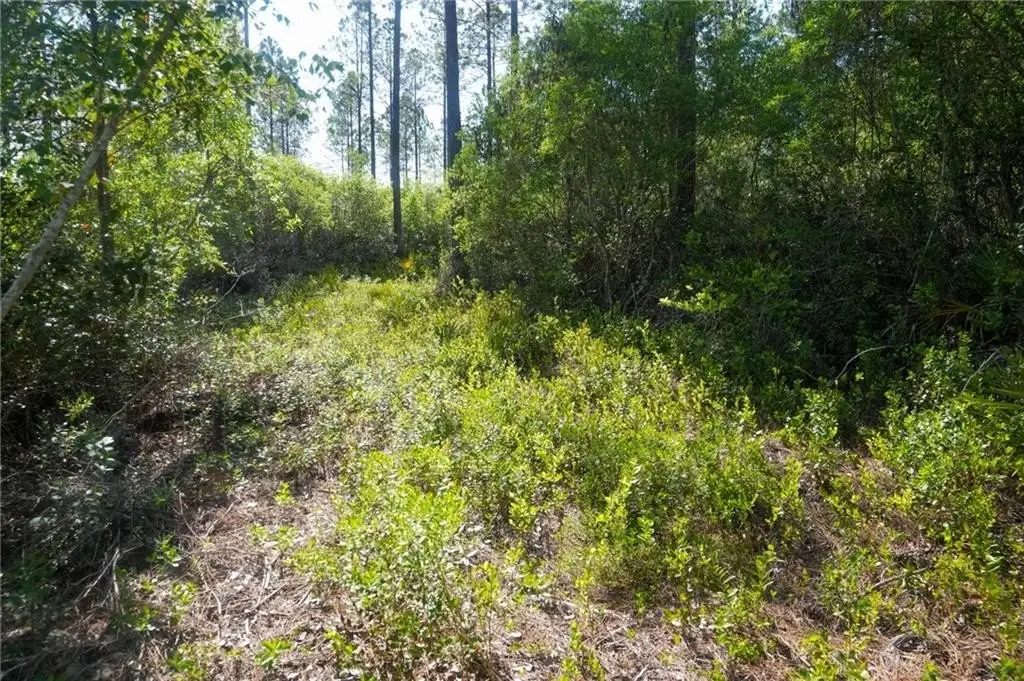 Picture 4