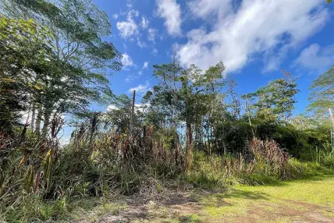 Forested Lot in Nanawale Estates