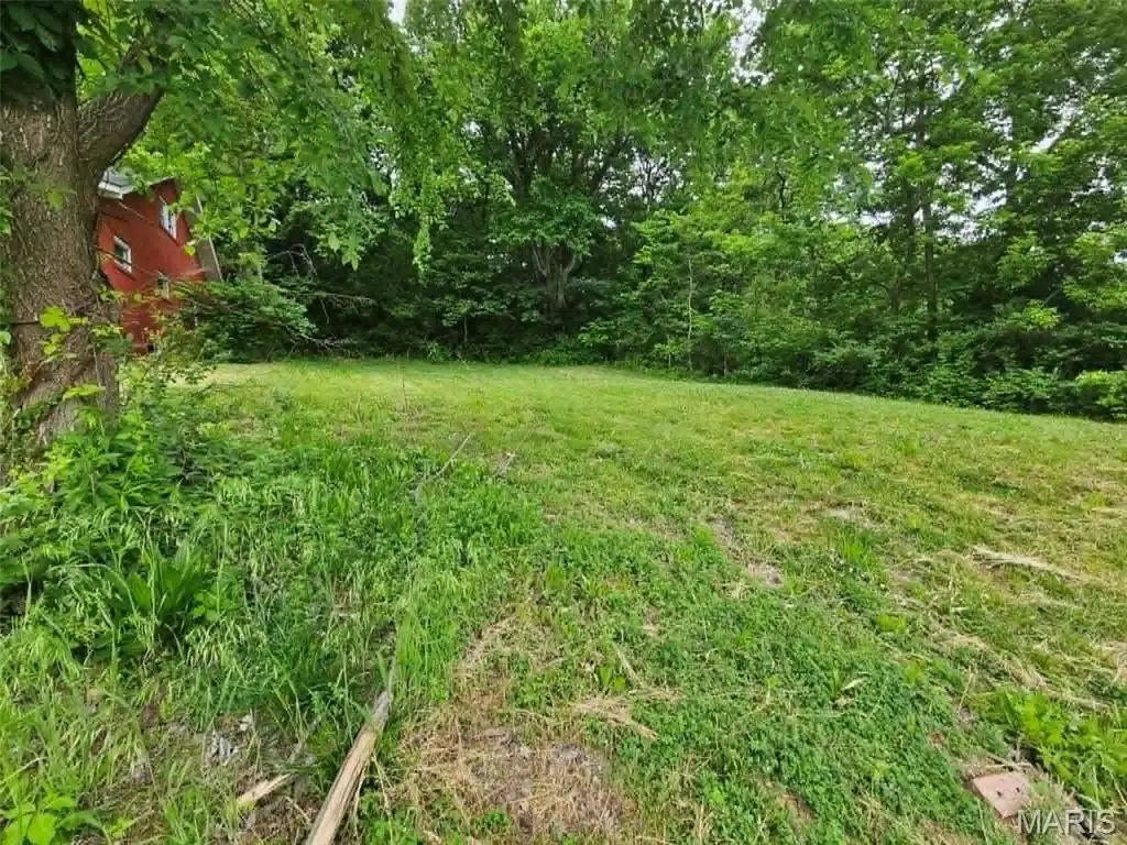 Picture 3
