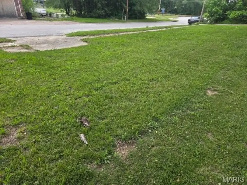 Picture 2