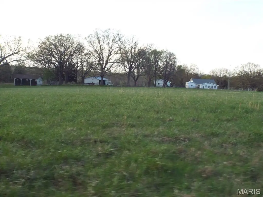Picture 51