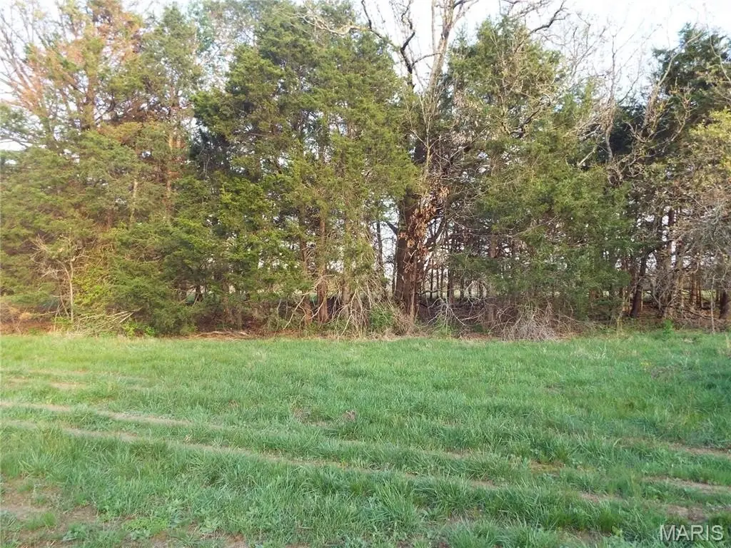 Picture 23