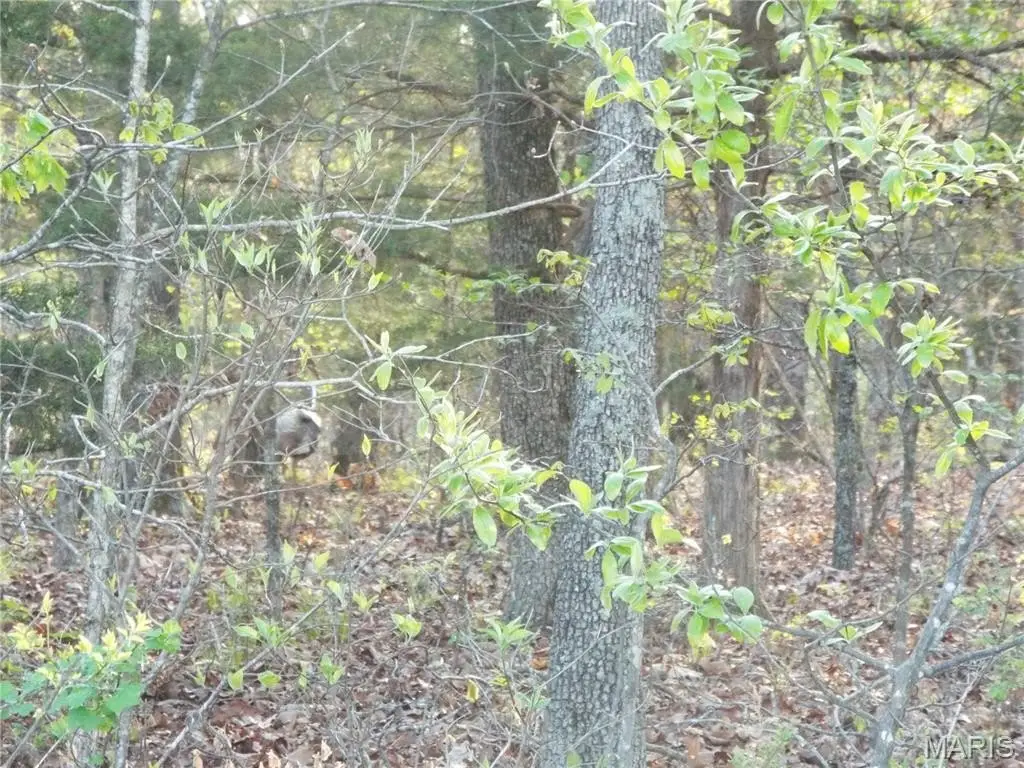 Picture 12