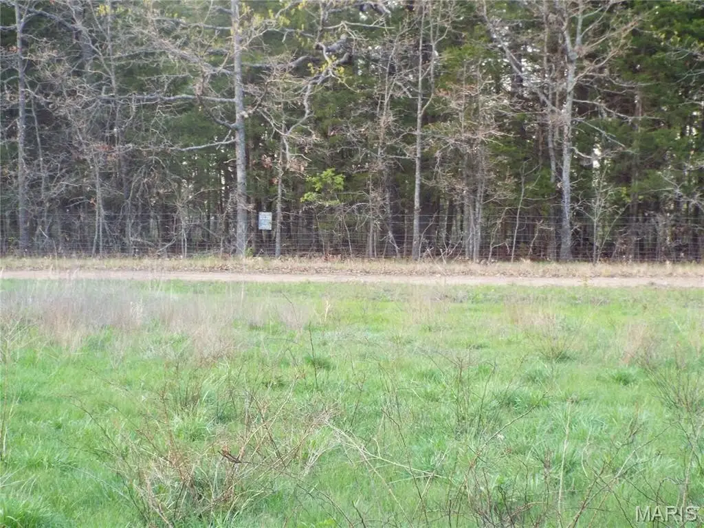 Picture 25