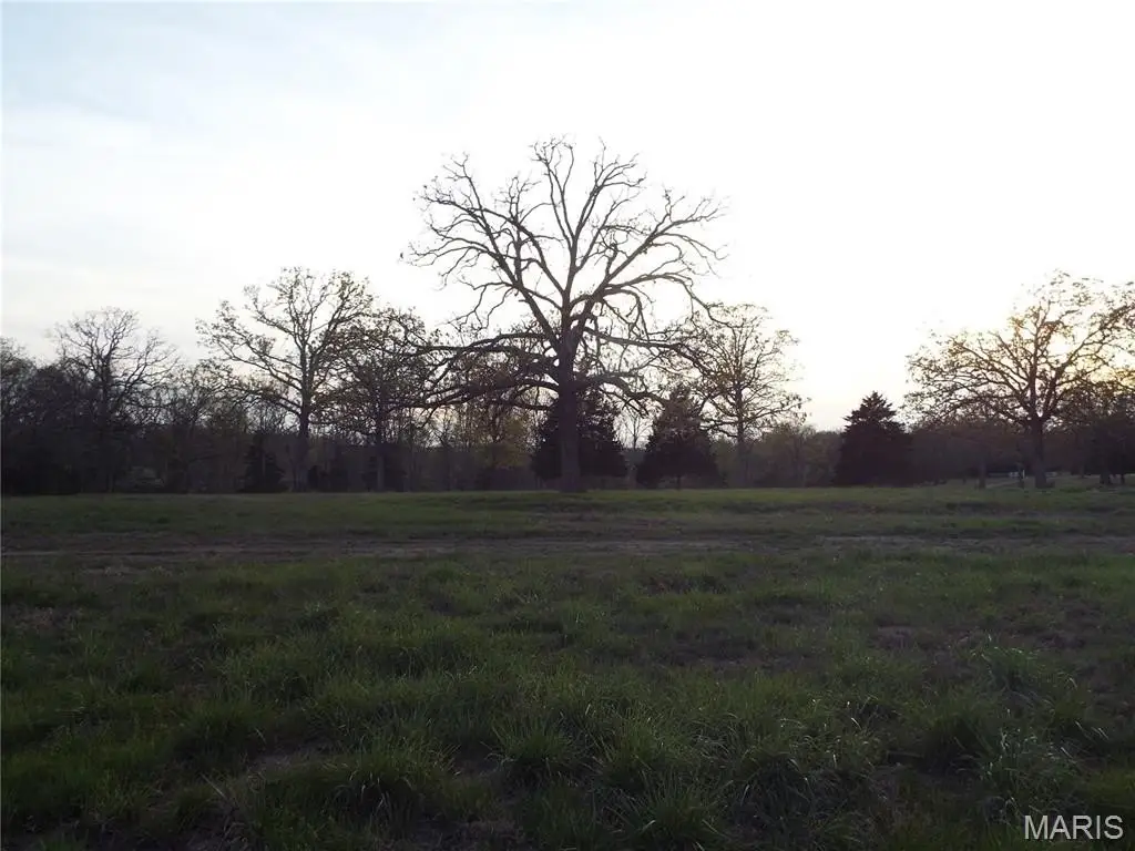 Picture 41