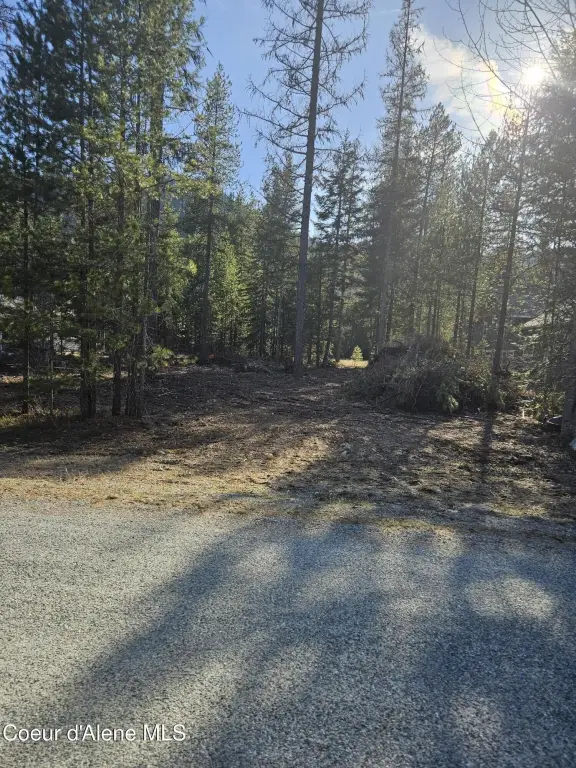 Picture 3