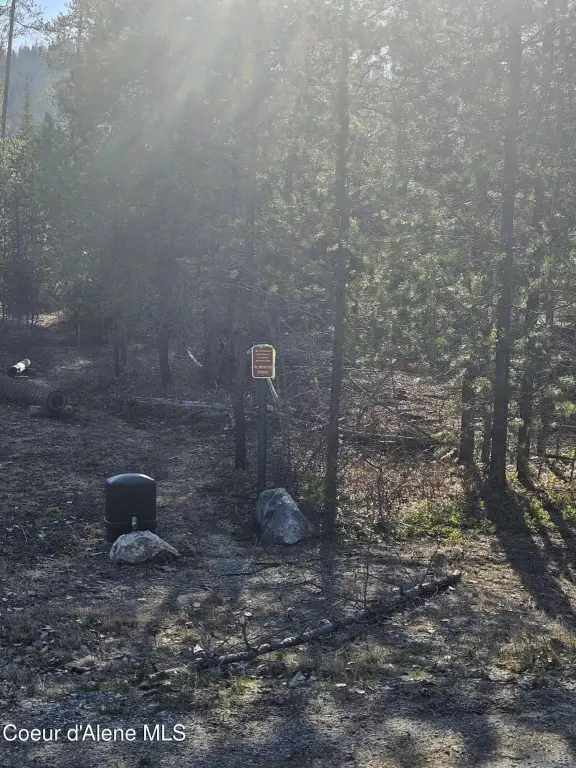 Picture 4