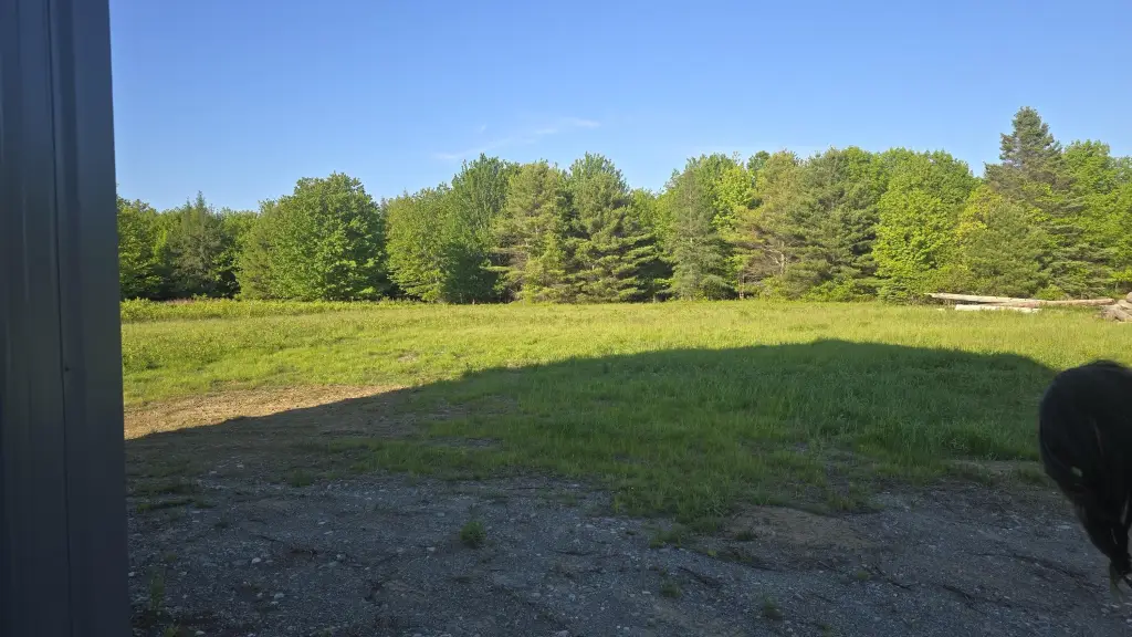 Picture 5