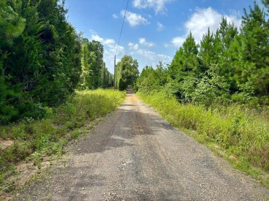 Picture 15