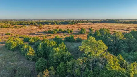 40-Acre Farmland with Pond