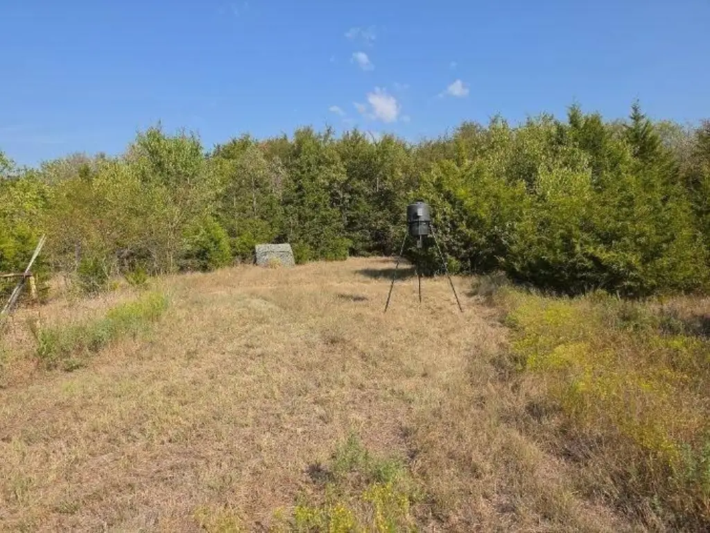Picture 28