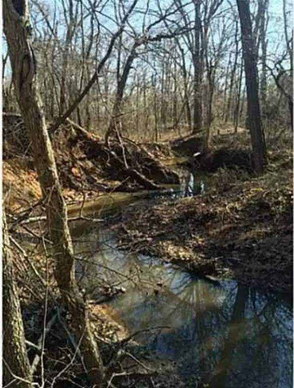 Picture 34
