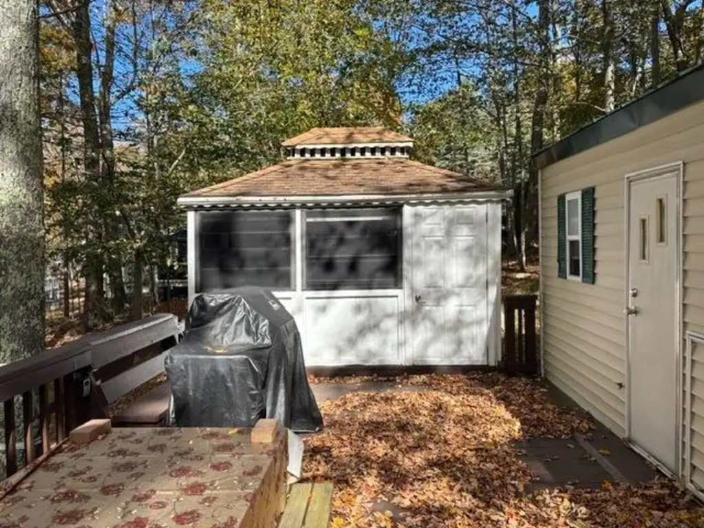 Picture 11