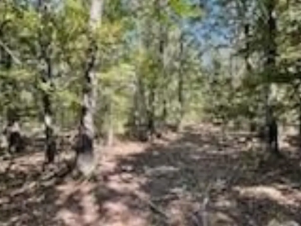 Picture 38