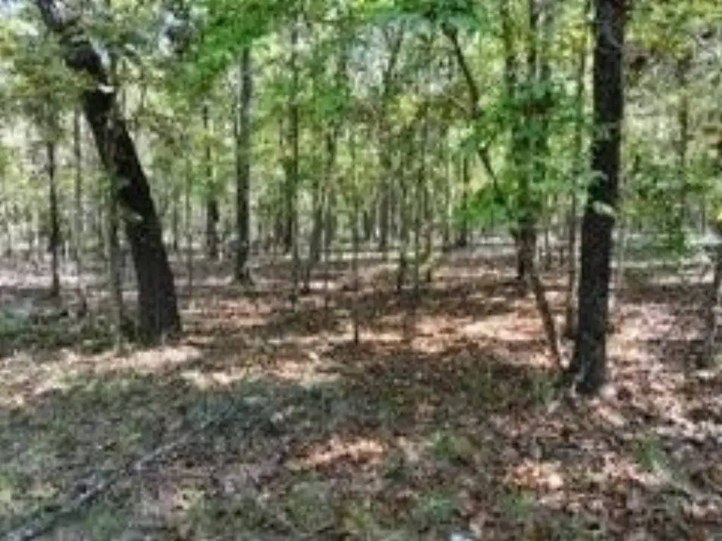 Picture 11